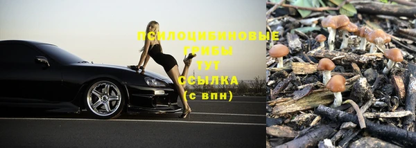 бошки Лиски