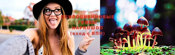 бошки Лиски