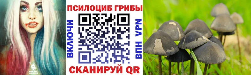 Купить  Катав-Ивановск  Галлюциногенные грибы ЛСД 